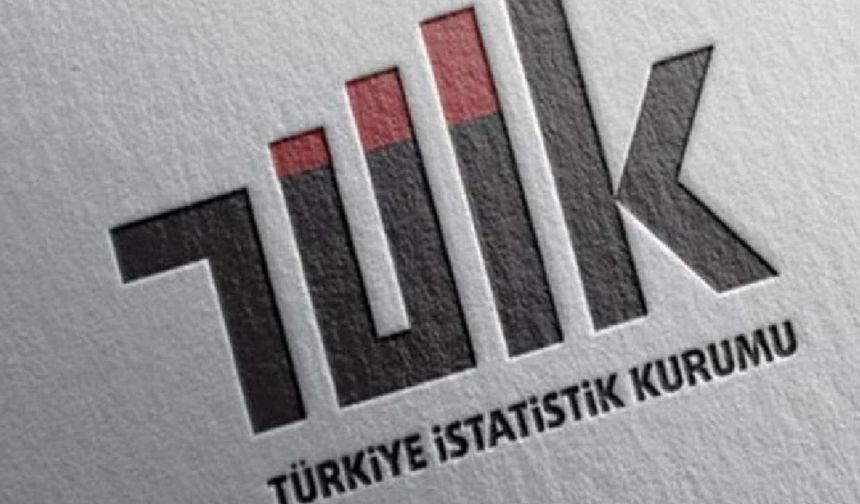 TÜİK Verileri Açıkladı! Gençler İşinden Memnun Ama Kazancından Değil!