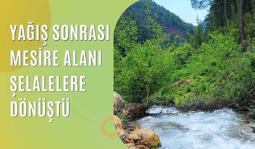 Yağış Sonrası Mesire Alanı Şelalelere Dönüştü