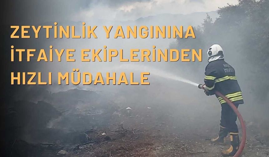 Zeytinlik Yangınına İtfaiye Ekiplerinden Hızlı Müdahale