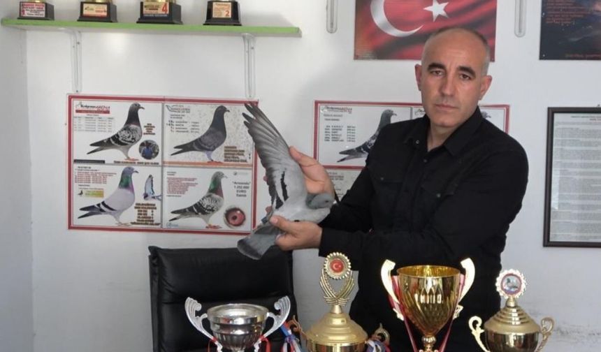 Bin Kilometreyi Bir Günde Uçtu! Osmaniye'ye Akdeniz Bölge Şampiyonluğunu Getiren Kanatlı Mucize