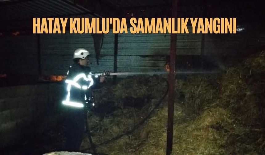 Hatay Kumlu'da Samanlık Yangını