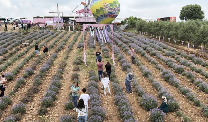 Osmaniye'de Mor Şölen Fotoğraf Tutkunlarının Gözdesi Oldu