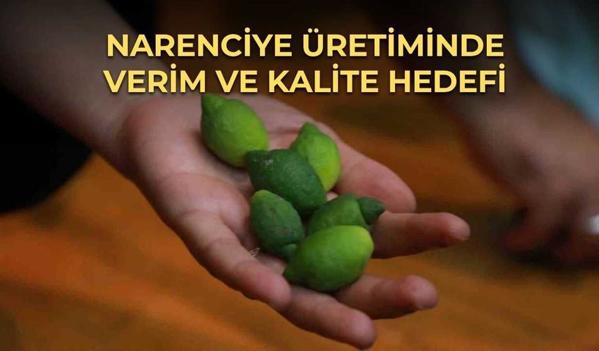 Narenciye Üretiminde Verim ve Kalite Hedefi
