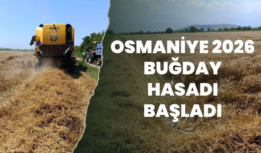 Osmaniye 2026 Buğday Hasadı Başladı