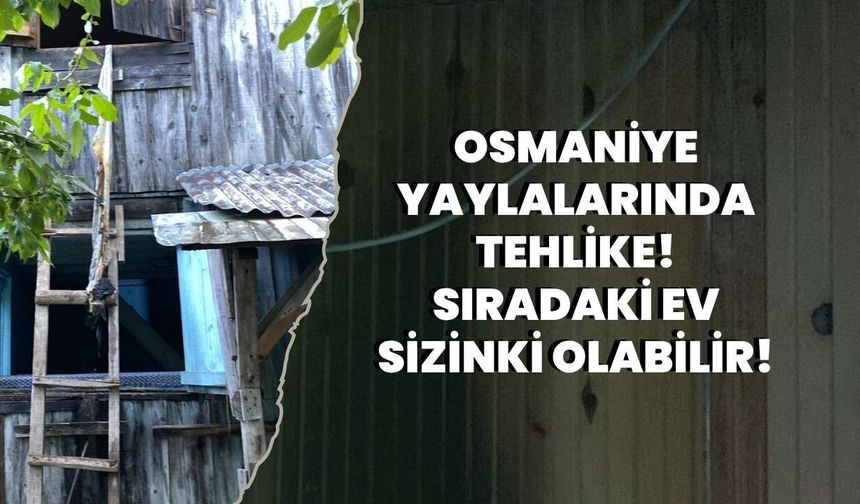 Osmaniye Yaylalarında Tehlike! Sıradaki Ev Sizinki Olabilir...