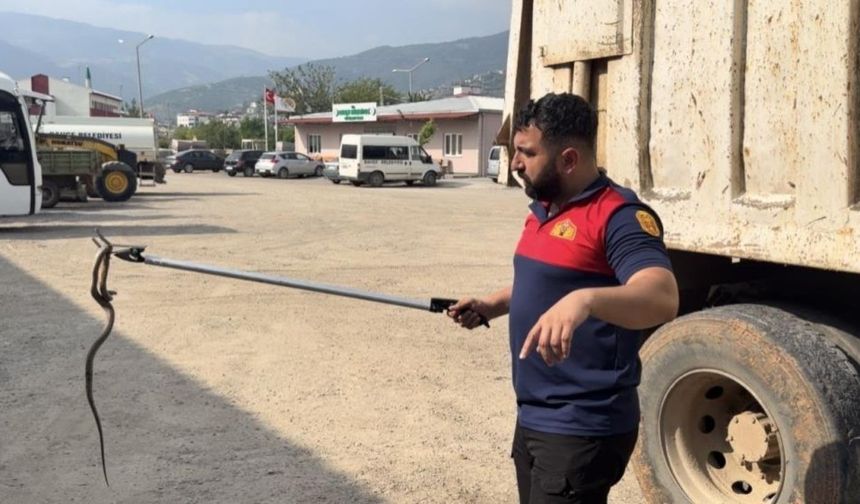 Tır, Zabıta Aracı ve Vidanjör... Osmaniye'de Zabıta Ekipleri Gözlerine İnanamadı!