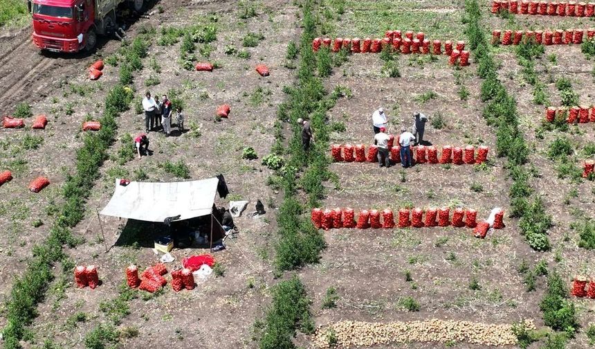 Osmaniye’de Tarımın Kalbi Dervişiye’de Attı