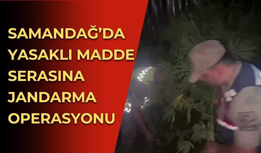 Samandağ’da Yasaklı Madde Serasına Jandarma Operasyonu