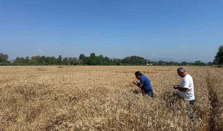 Tarımda yüksek verim için Osmaniye'de kollar sıvandı