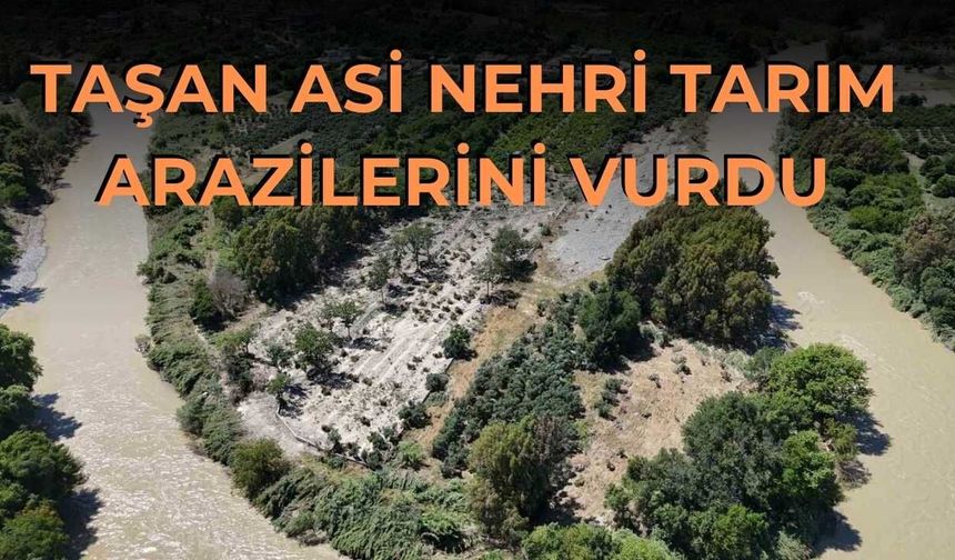 Taşan Asi Nehri Tarım Arazilerini Vurdu