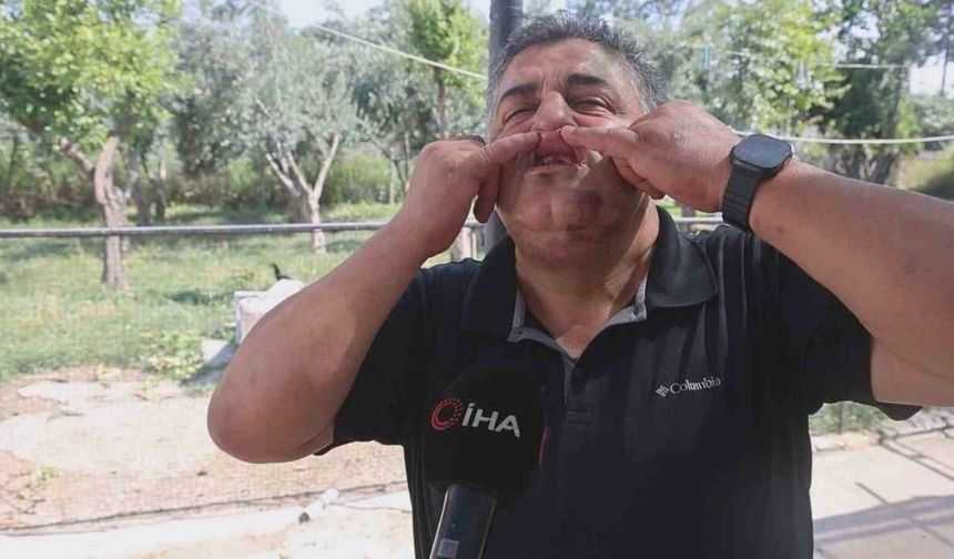 Traktörle Yol Kesip Meydan Dayağı Atan Kardeşlere Ceza