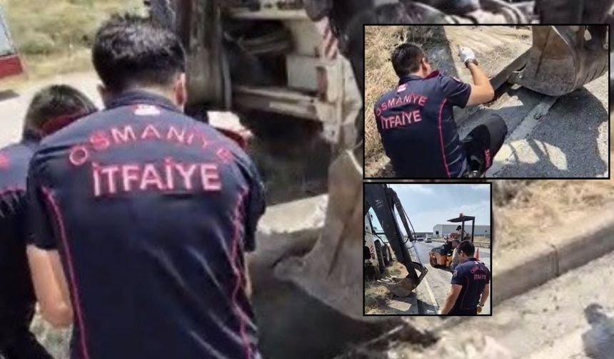 Osmaniye'de Mazgala Düşen Yavru Kedi İçin İtfaiye Seferber Oldu