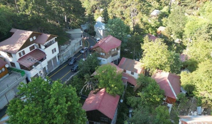 Bu Yaylada Hırkasız Gezilmiyor! Osmaniye'nin En Serin Yaylası
