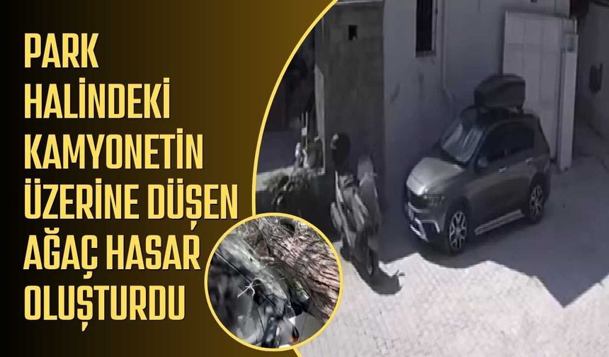 Park halindeki kamyonetin üzerine düşen ağaç hasar oluşturdu