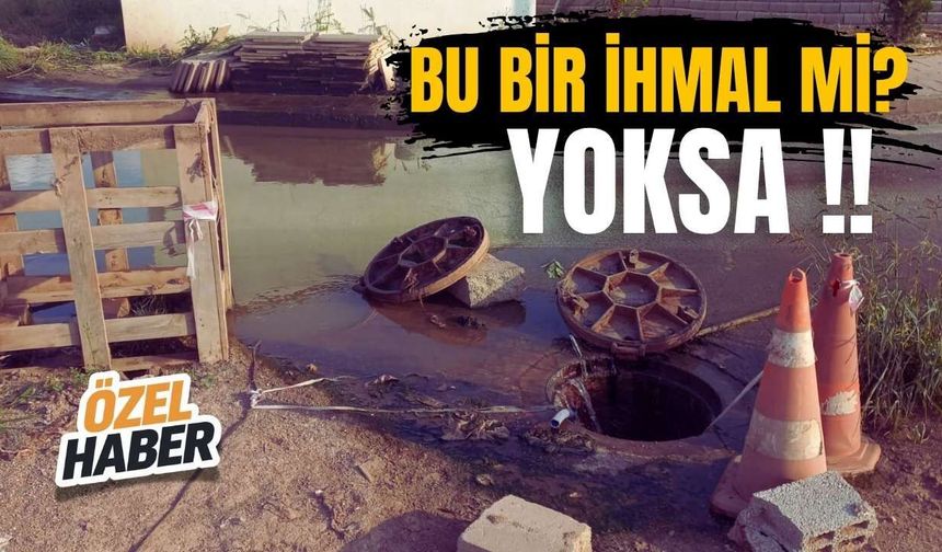 Osmaniye Deprem Konutlarında Lağım Sokağa Akıyor!