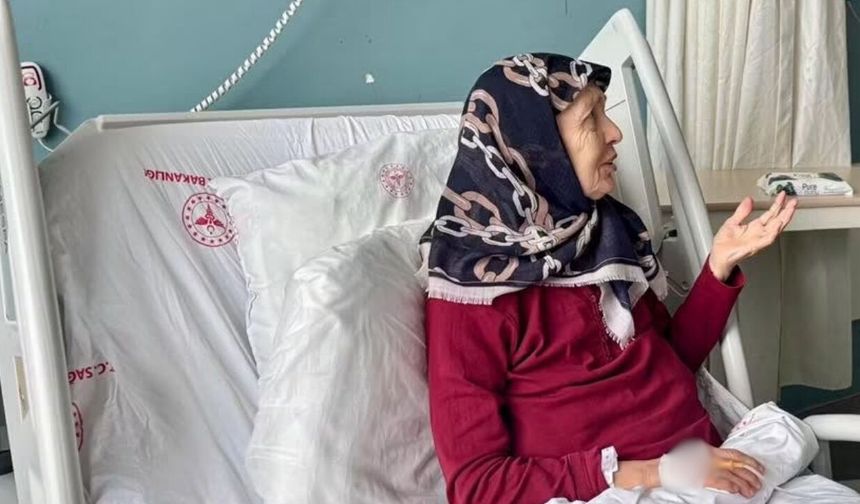 AK Parti'nin Osmaniye'deki Kurucu İsimlerinden Nermin Şahin Hayatını Kaybetti