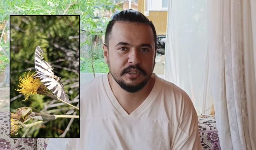 Ana Vatanı Kuzey Amerika Olan Nadir Tür Osmaniye Yaylalarında Ortaya Çıktı