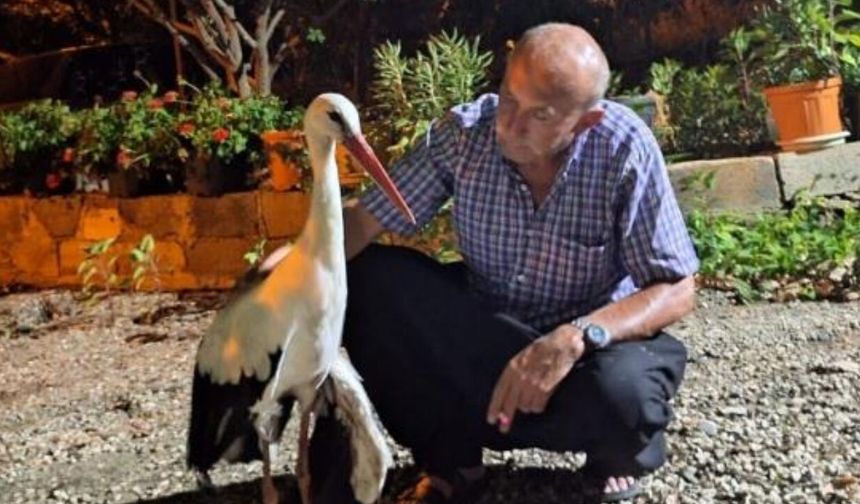 Evinin Önüne Düşen Leyleğe Pansuman Yaptı, Ekiplere Teslim Etti