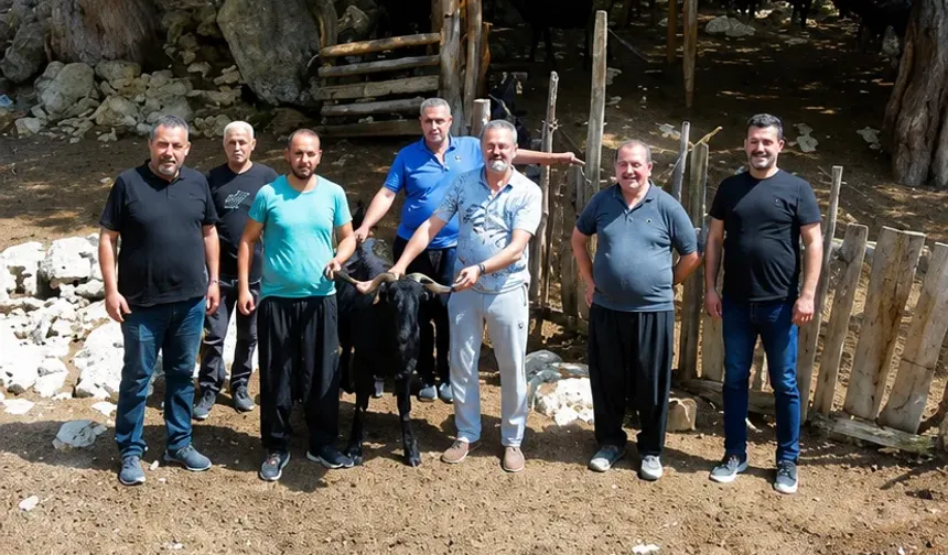 Kadirli Yaylalarında Hayvan Sağlığı İçin Saha Çalışması