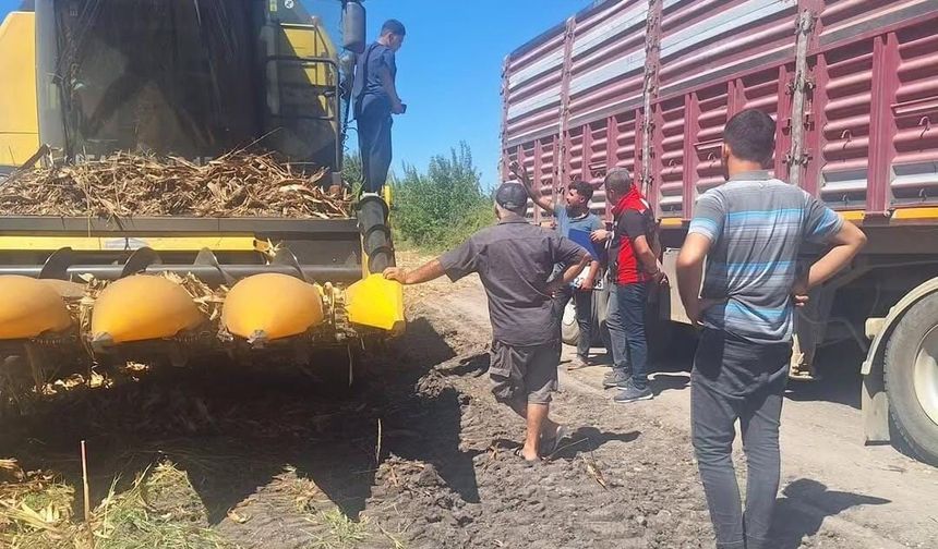 Sumbas’ta Dane Mısır Hasadı Öncesi Biçerdöver Kontrolleri Sürüyor