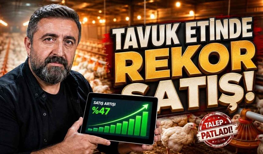 Tavuk Eti ve Yumurtada Üretim Rekorları Haziran Ayı Verileri Netleşti