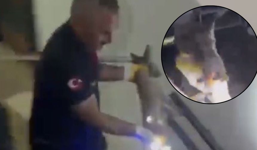 Osmaniye'de Akılalmaz Olay! Kapıyı Açanlar Gözlerine İnanamadı