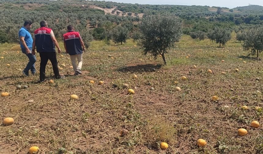 Osmaniye'de Dolunun Faturası Çıkarılıyor