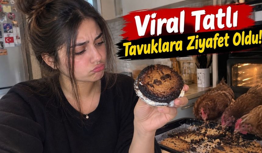 Osmaniye'de Viral Tatlı Akımı Fiyaskoyla Bitti