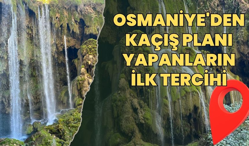 Osmaniye'den Kaçış Planı Yapanların İlk Tercihi