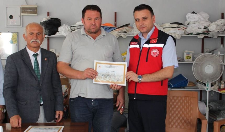 Osmaniyeli Bal Üreticileri Artık Kendi Ana Arılarını Yetiştirecek