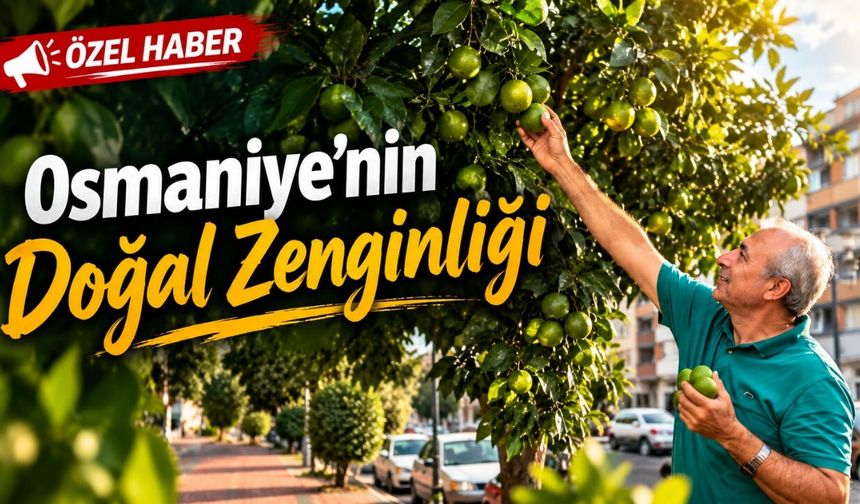 Osmaniye'de Kaldırımda Bedava Bereket!