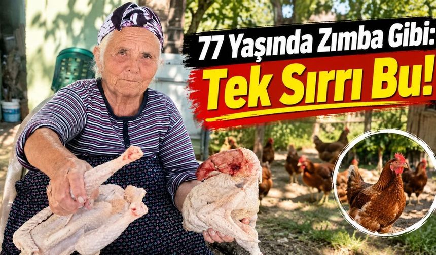 77 yaşındaki Döndü nine: “Yarım asırdır evime market tavuğu girmedi”
