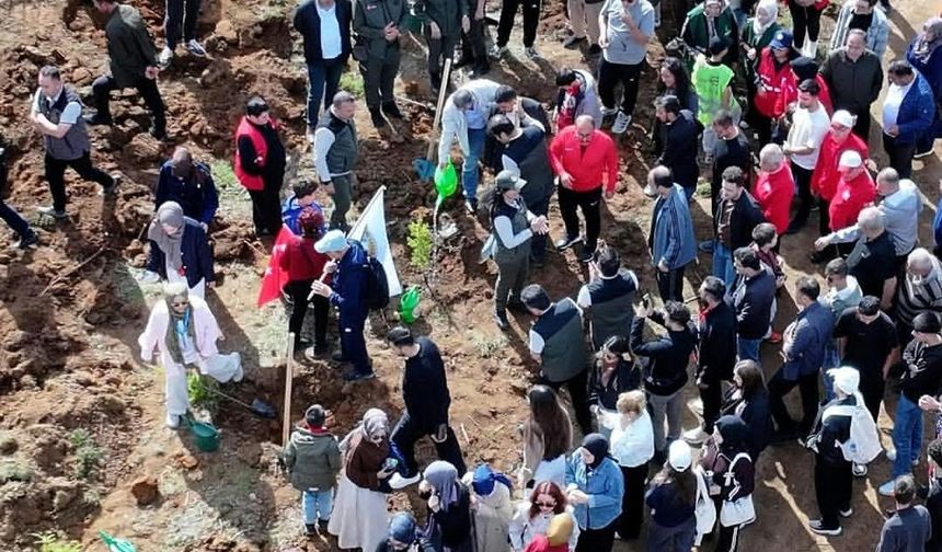Cumhuriyet’in 103. yılı Yirce Yaylası’nda doğa yürüyüşü ve fidan dikimiyle kutlandı