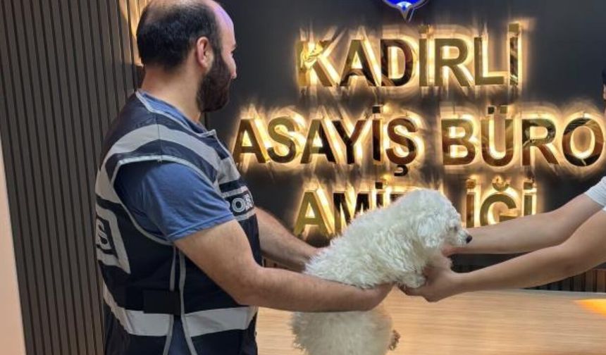 Kadirli’de Bahçeden Çalınan Köpek Bulundu