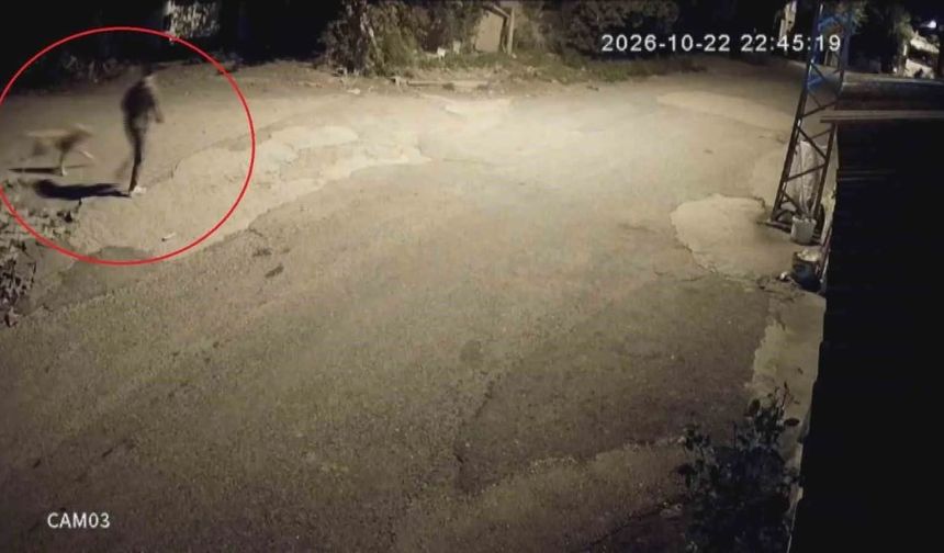 Motosikletle Gelip Köpeği Çalan Hırsızlara Tepki
