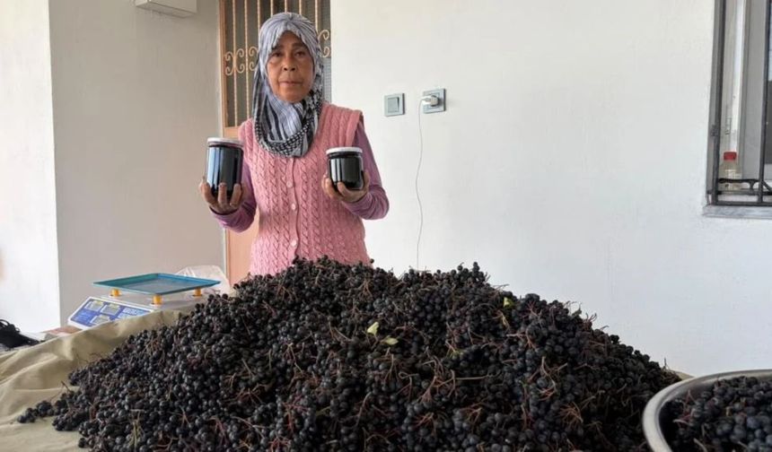 Oğlunun Tavsiyesiyle Başladı, Aronyanın Reçelini Yarım Kilosu 400 Liradan Satıyor