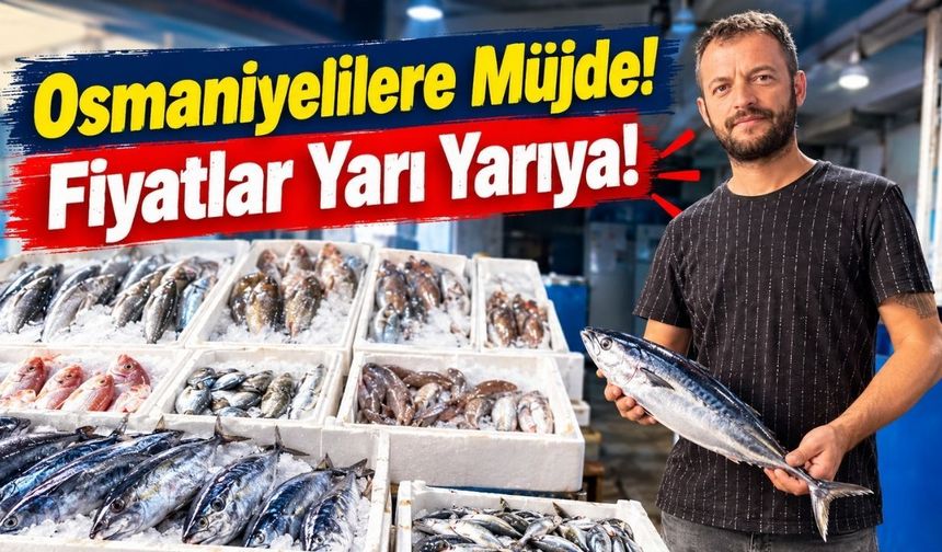 Av yasağı bitti, Osmaniye'de balık fiyatları neredeyse yarıya indi