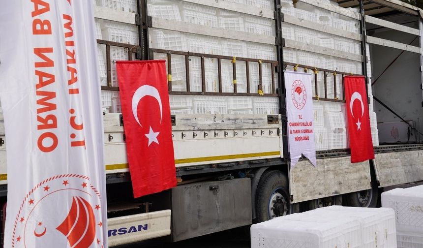 Osmaniye’de Kaliteli Yağın Sırrı Çözüldü