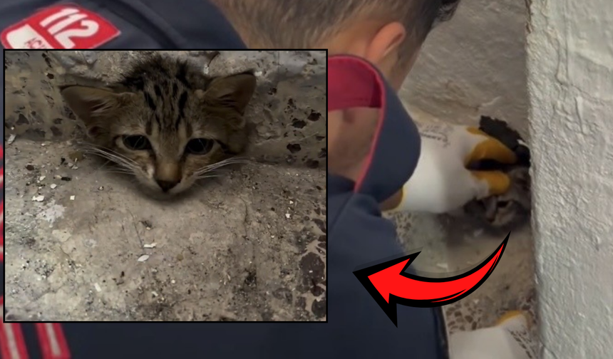 Osmaniye'de Su Giderine Sıkışan Yavru Kediyi İtfaiye Kurtardı