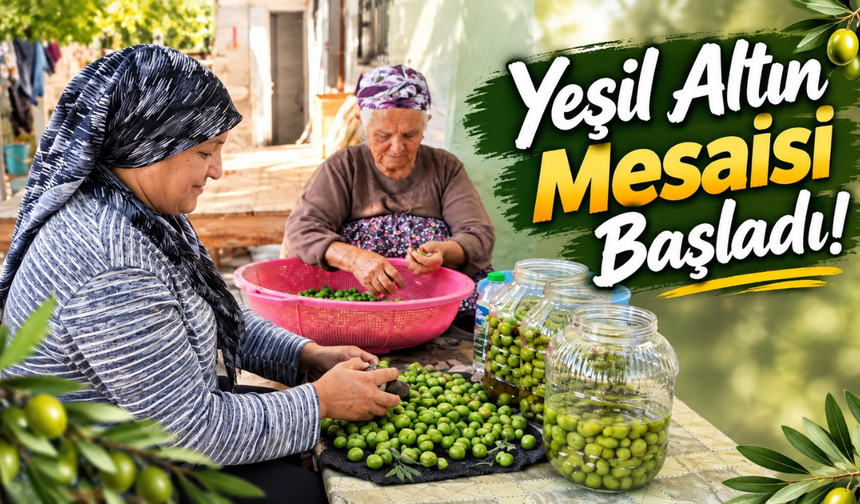 Toprakkale'de Yeşil Altın Dönemi Başladı! Avlularda Hazırlı Sürüyor