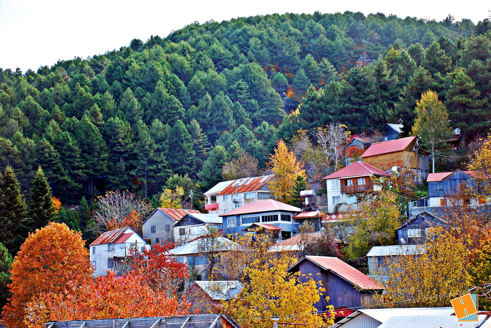 Zorkun Osmaniye Yayla (2)