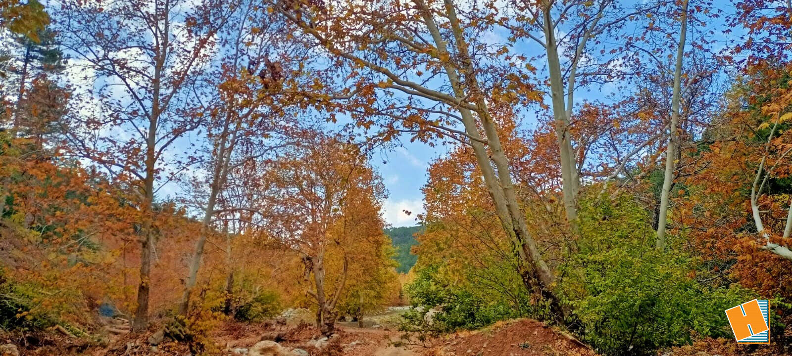 Zorkun Osmaniye Yayla (4)