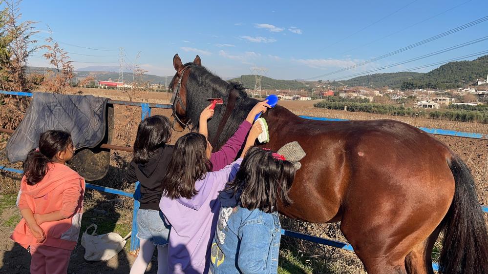 At Çiftliğinde Nesiller Sevgiyle Buluştu (1)