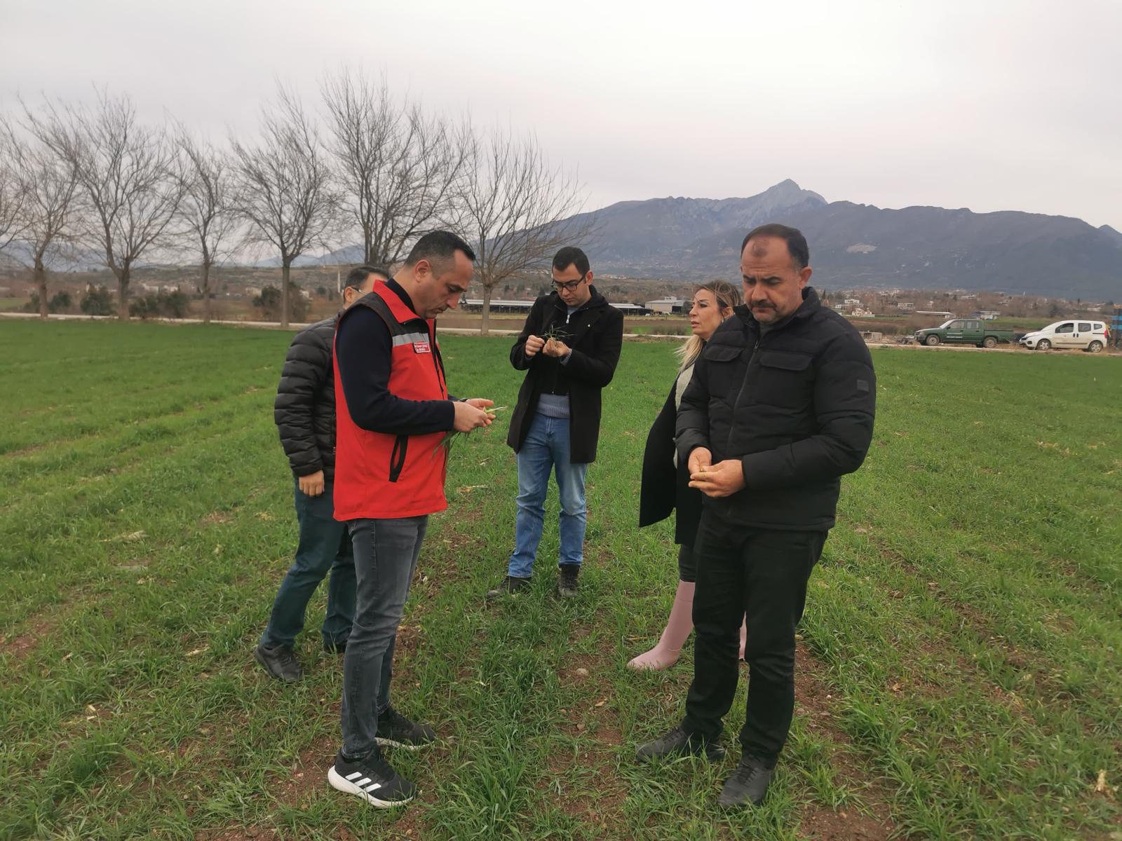 Osmaniye Düziçi'nde Tarım Alanları Kontrolleri Devam Ediyor (2)