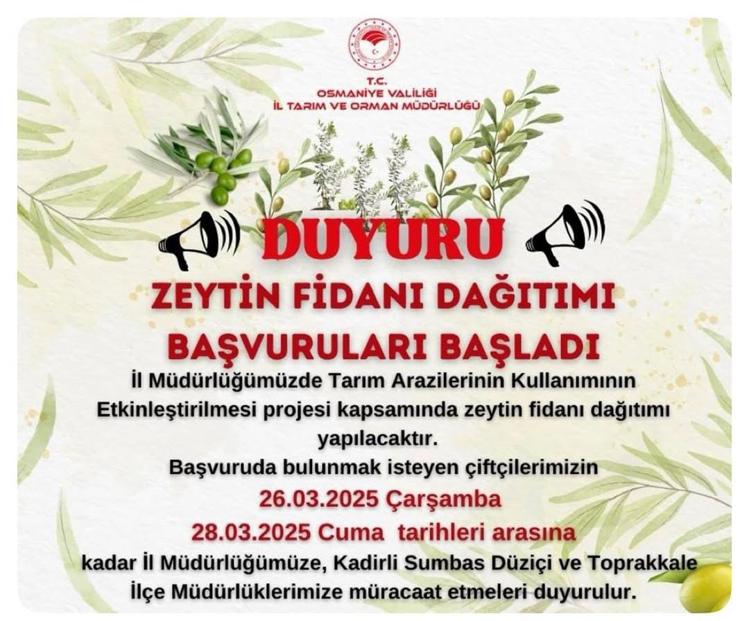 Zeytin-1