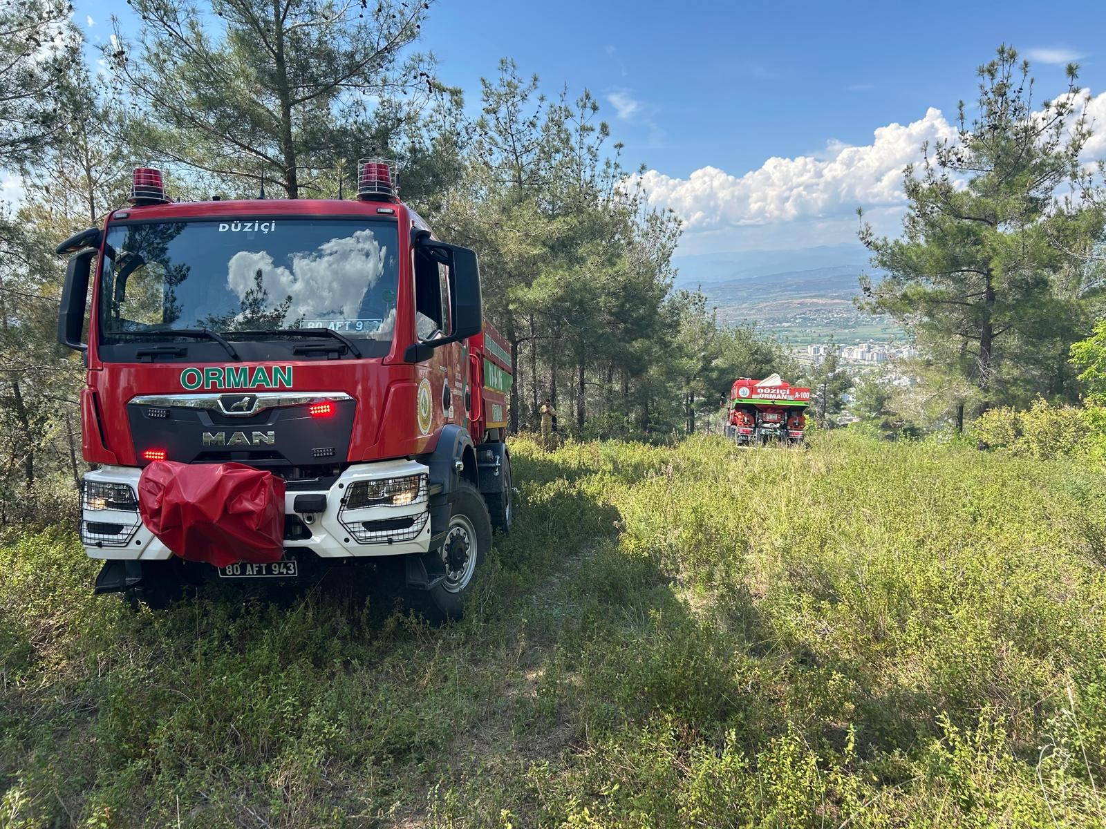 Düziçi Yangın (1)-1