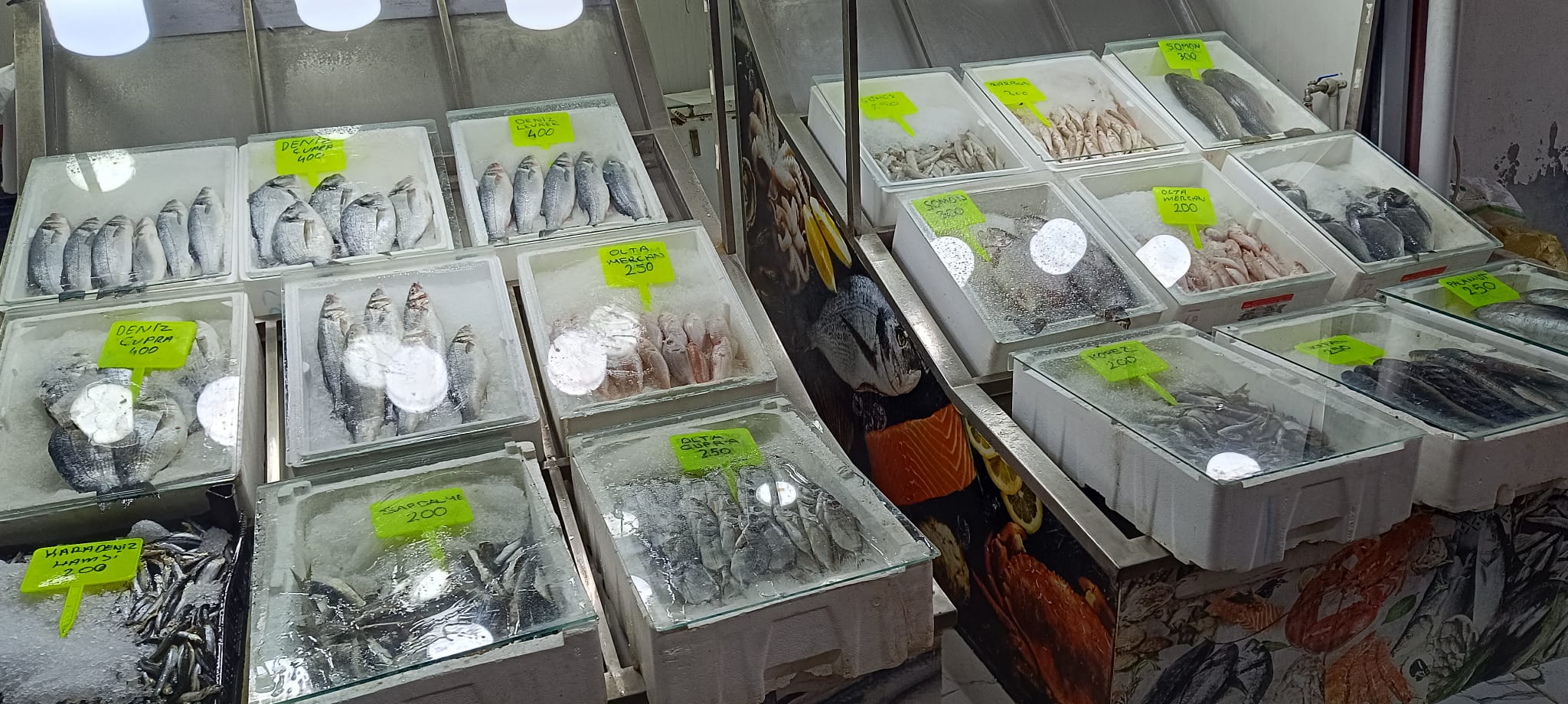 Osmaniye'de Balıkçı Tezgâhları