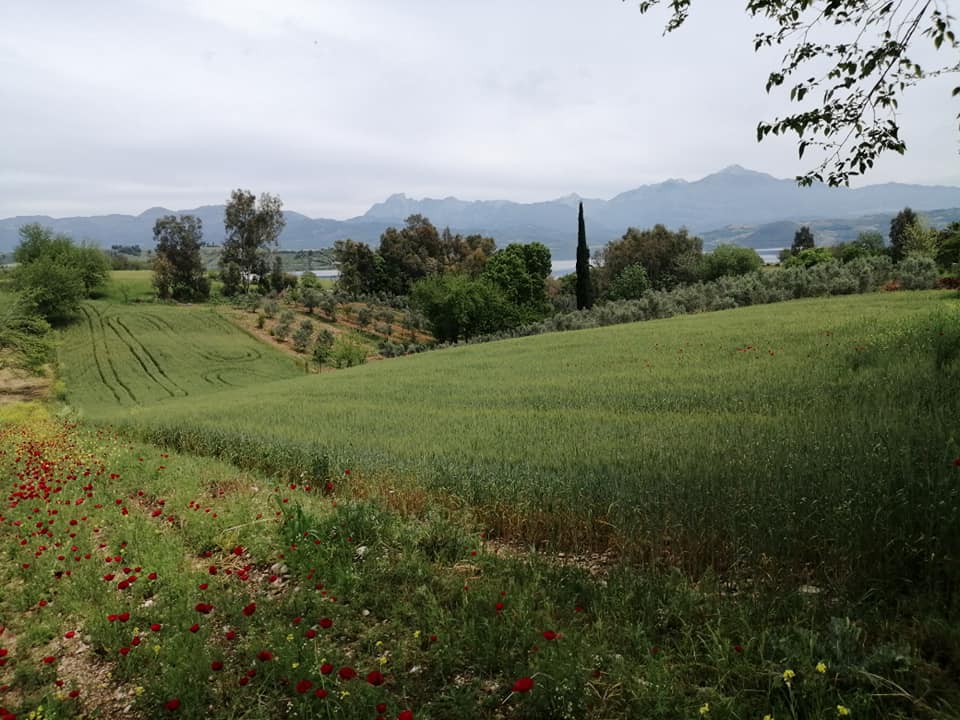 Bahadırlı Köyü (5)