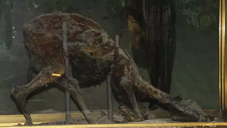 Balıbağı Köyü Ve Keloğlan