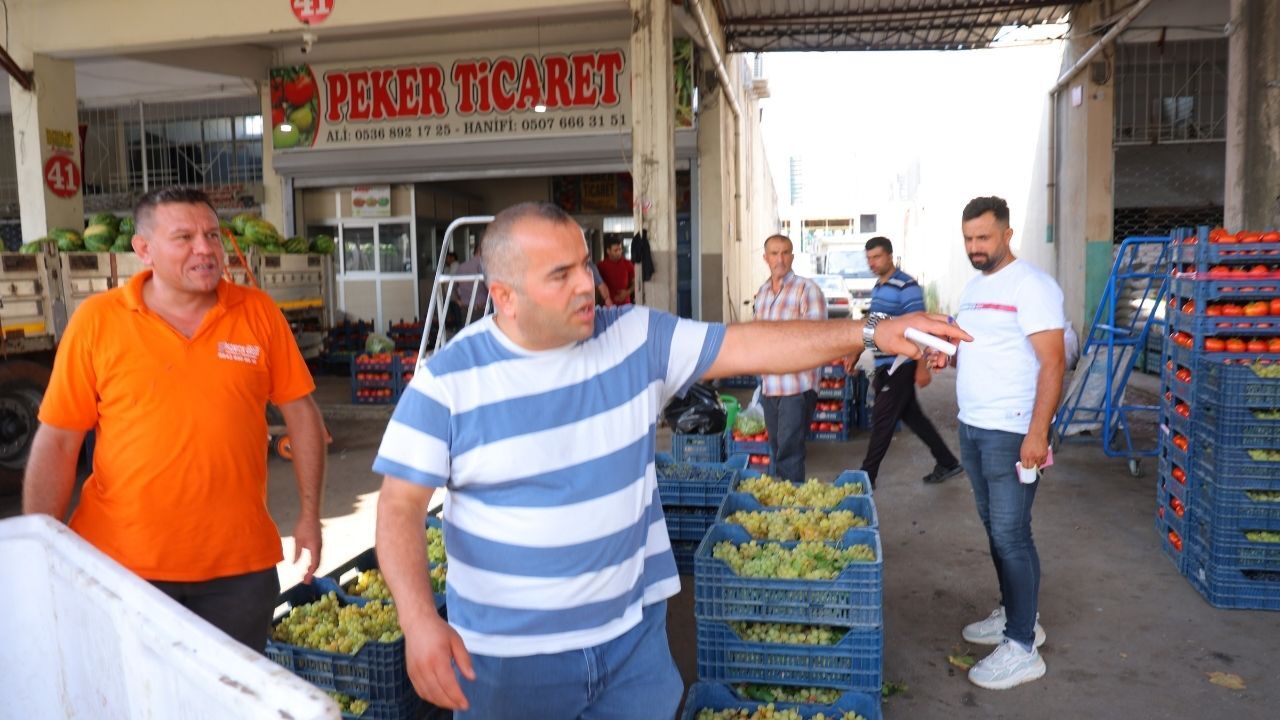 Domates Fiyatları (2)